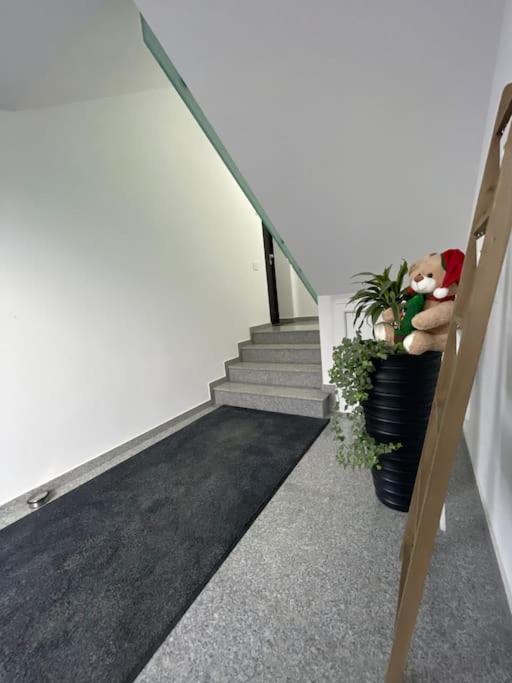 Apartament Timisoara 6 Екстериор снимка